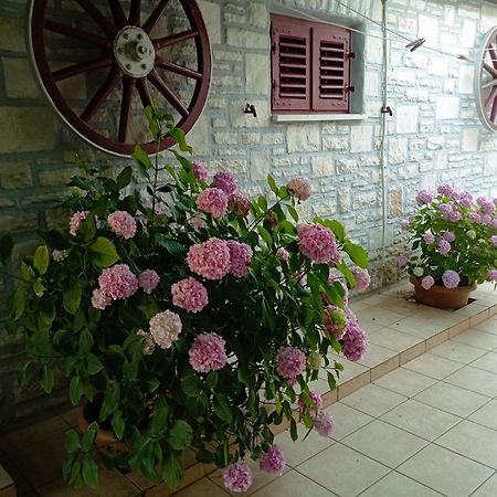 Apartman Sunce Umag Exterior photo
