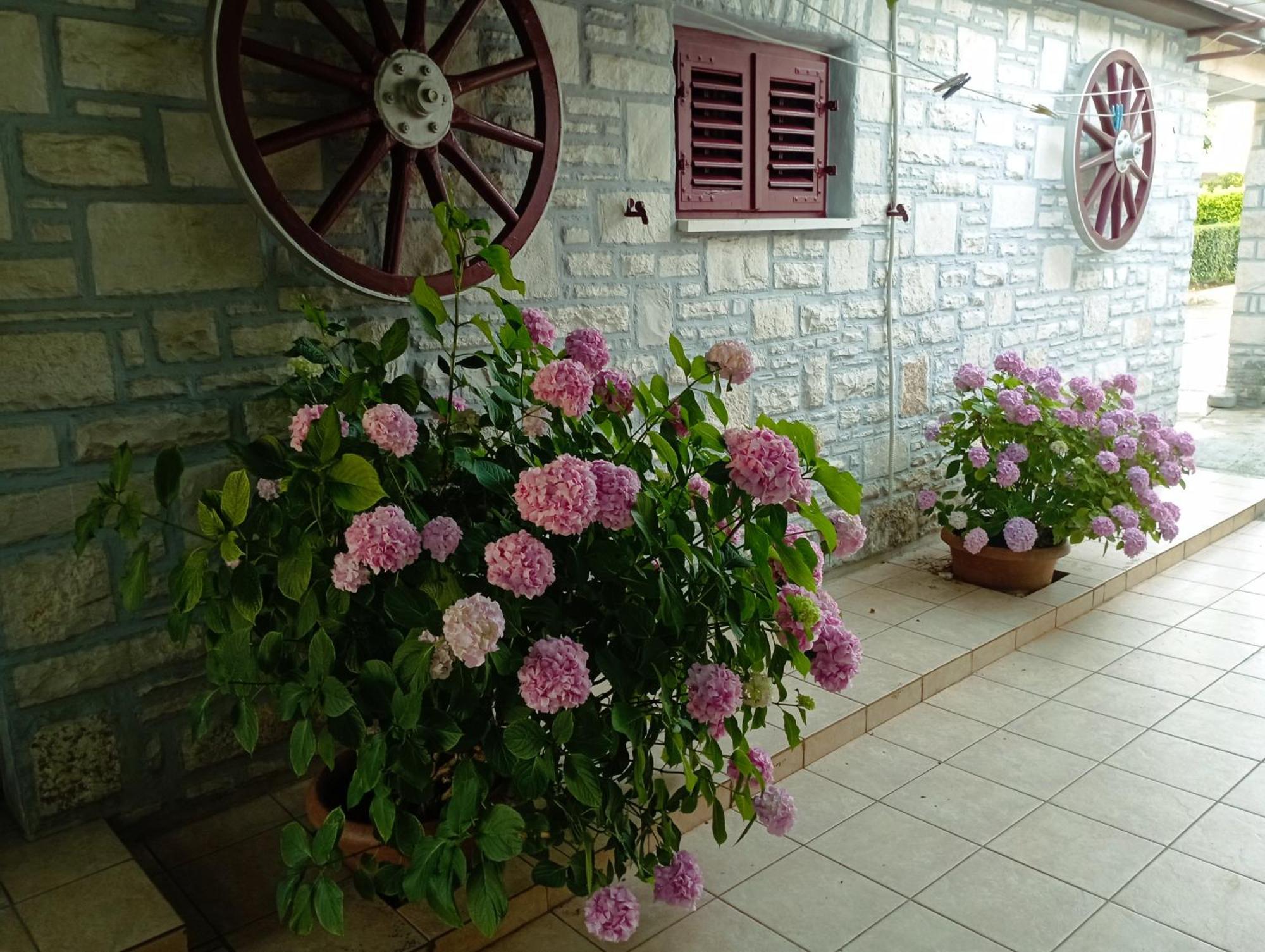 Apartman Sunce Umag Exterior photo